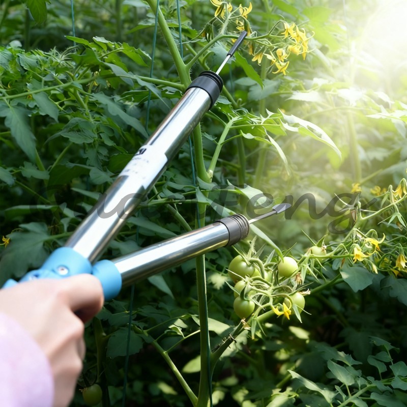 220V‑50Hz 6A Electric Vibratio - đánh giá và giá Agriculture Tomato Farming