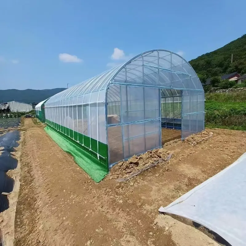 Single-Span Agricultural Green - đánh giá và giá Agriculture Tomato Farming