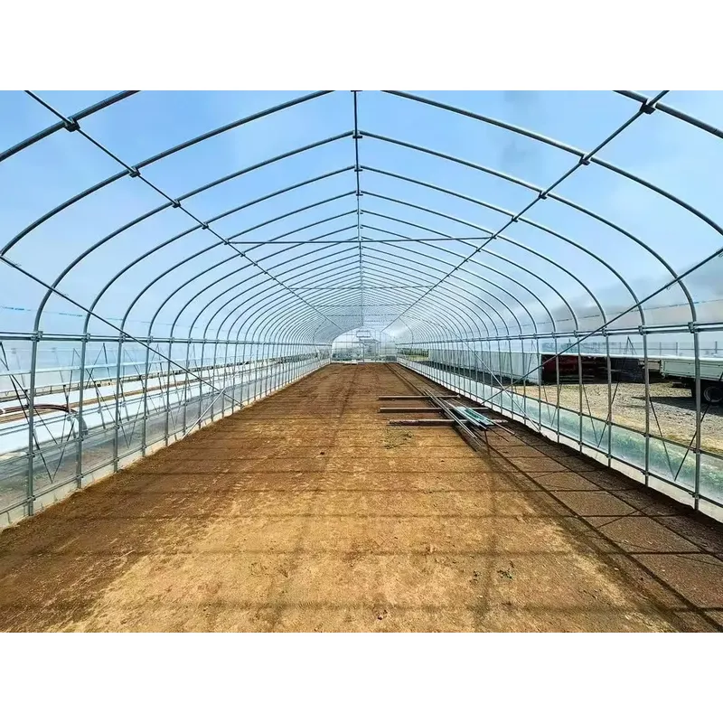 Single-Span Agricultural Green - đánh giá và giá Agriculture Tomato Farming